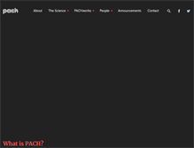 Tablet Screenshot of pach.org
